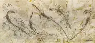 151283
