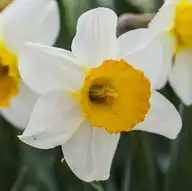 151502
