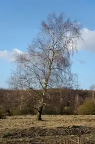 151701