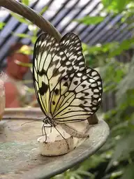 152120