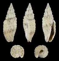 154132