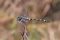 154506