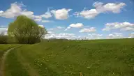 15533