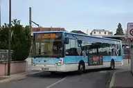 155887