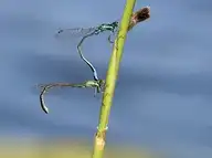 156048