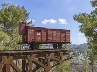 156445