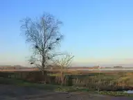 157320