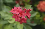 157805