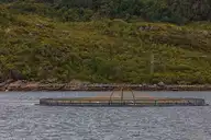 157811