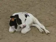 158370