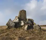 158560