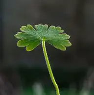 158753