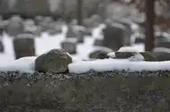 159275