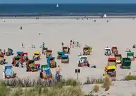 159445