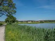 161514