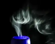 163020