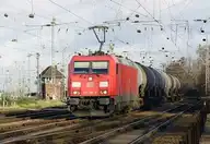 16355