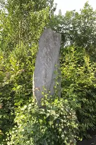 164303