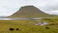 164359