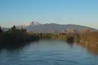 164464
