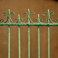 16448