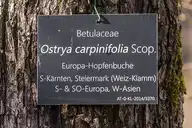 165863