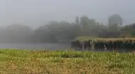 167353
