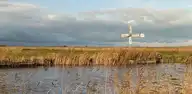 167621