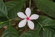 167754