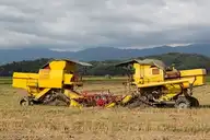 168306
