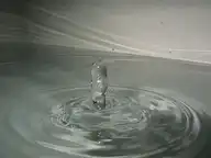 16831