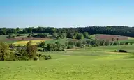 169065