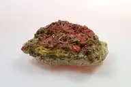 169576