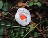 169590