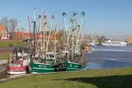 169756