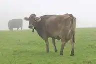 170354