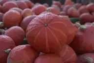 171383