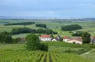 171804
