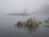 172559