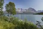 173192