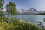 173192