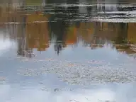173360
