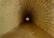 17336