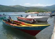 173732