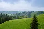173882