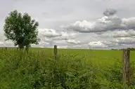 173906