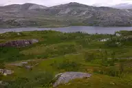 174443