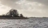 174469