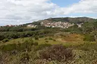 174919