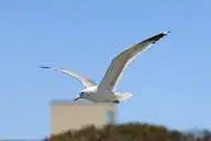 175050